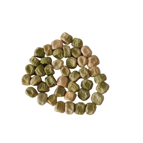 Green Pea Seeds — Organic and High Germinated Seeds | Native Indian Organics