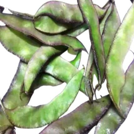 Kozhi avarai vegetable seeds — Crisp, Organic seed pack | Native Indian Organics