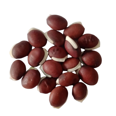 Lablab Beans seeds — Organic , Fresh and Natural | Native Indian Organics