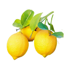 Lemon seeds