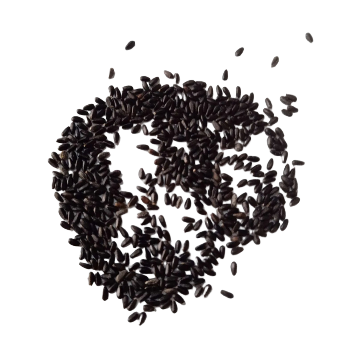 Lemongrass Seeds — Fresh and Organic seed pack | Native Indian Organics