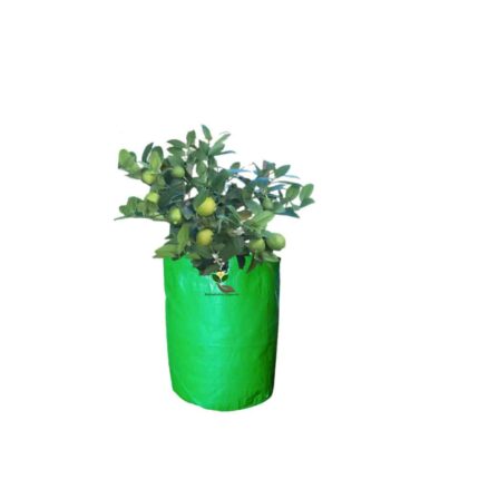 18 24 Inch Plant Grow Bag For Trees — Durable, Premium quality | Native Indian Organics