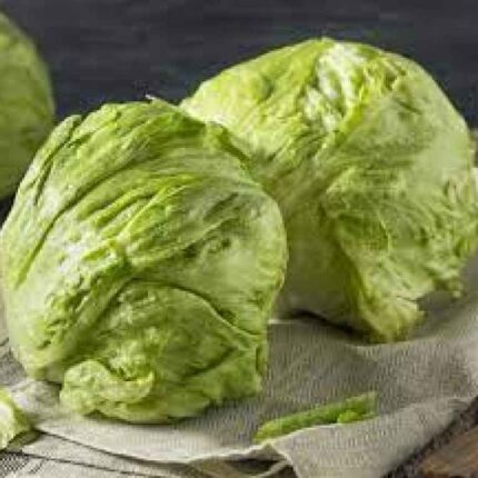 Lettuce Iceberg seeds — Organic, High germination seed pack | Native Indian Organics