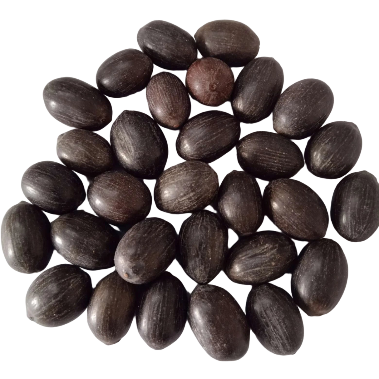 Lotus Seeds - High Germinated Organic Seeds | Native Indian Organics