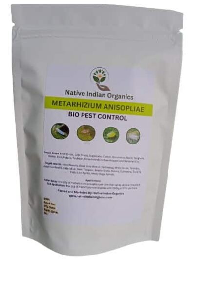 Metarhizium Anisopliae Bio Pest Control - 1KG | Native Indian Organics
