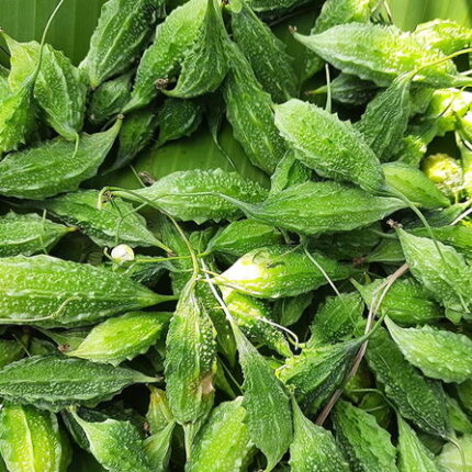 Midhi Paagal Bitter Gourd — Organic, High germination seed pack | Native Indian Organics