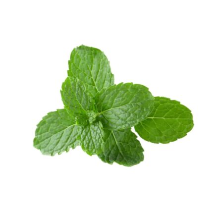 Mint Herb seeds — Non-GMO, Aromatic seed pack | Native Indian Organics