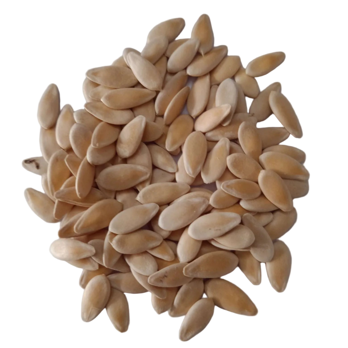 Musk Melon Seeds — Fresh and Organic Seeds| Native Indian Organics