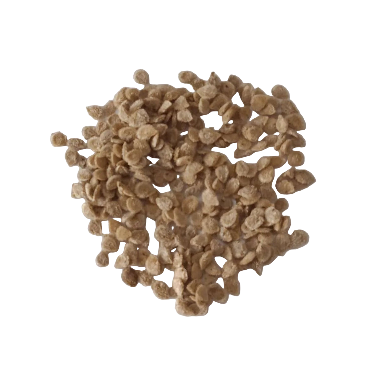 Tomato Seeds Desi — Premium quality, Fresh vegetable Seeds | Native Indian Organics