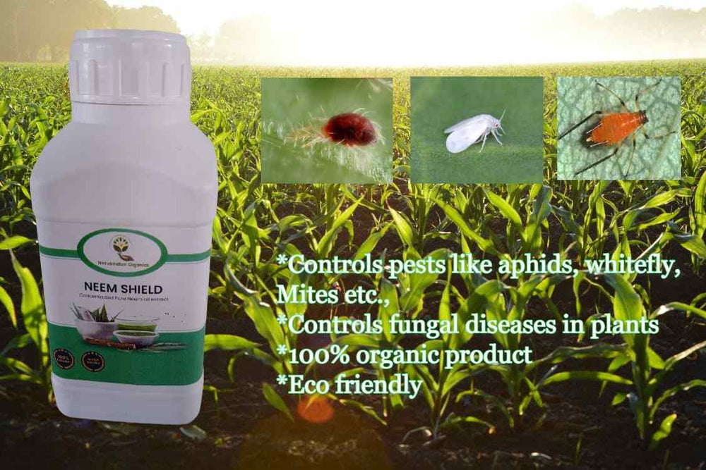 Neem Shield Neem Oil 1500 Ppm 500Ml — Premium quality, Durable | Native Indian Organics