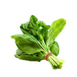 Palak Spinach seeds — Native, Aromatic seed pack | Native Indian Organics