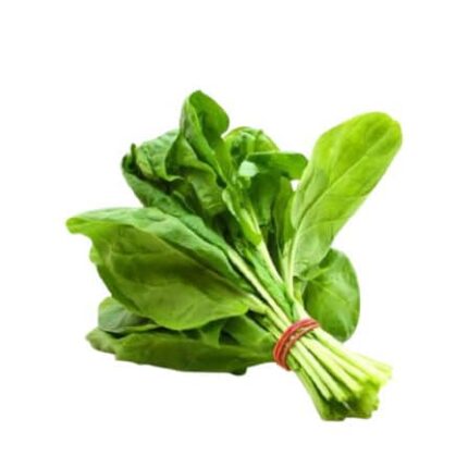 Palak Spinach seeds — Native, Aromatic seed pack | Native Indian Organics