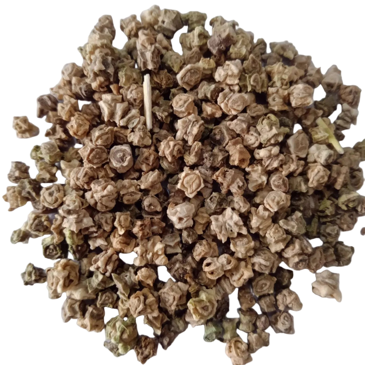 Palak Seeds - Natural Nutrient-dense, Organic seeds | Native Indian Organics