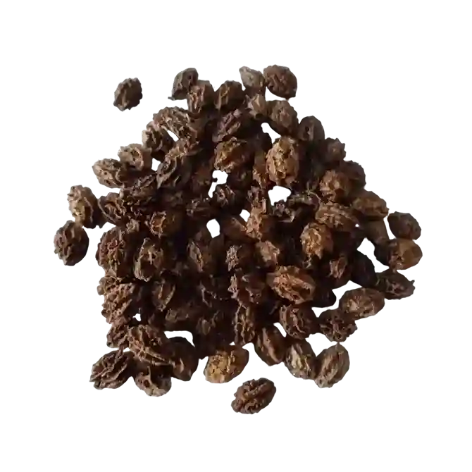 Papaya Red Lady F1 seeds —Fresh Aromatic seeds