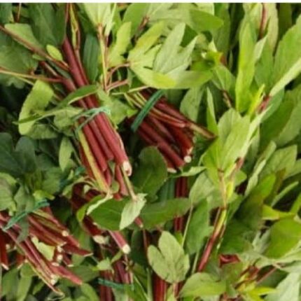 Gongura Seeds Pulicha Keerai — Reliable, Durable | Native Indian Organics
