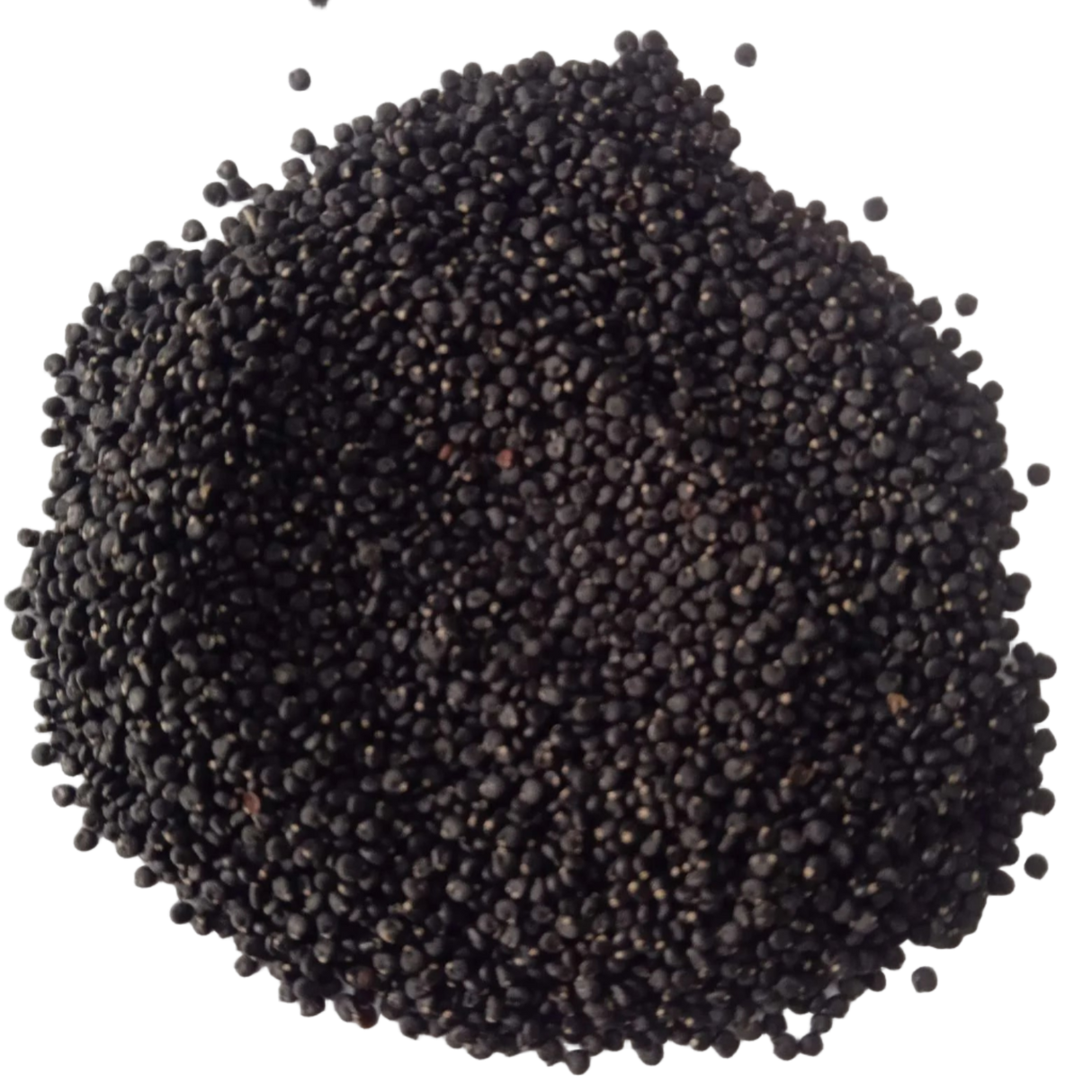 Purslane Spinach Seeds - Organic, Open pollinated , Non - GMO seeds | Native Indian Organics