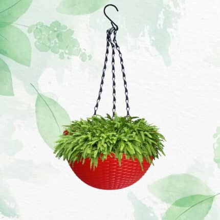 Hanging Baskets Ratan designer set of 4 — Sturdy, Breathable | Native Indian Organics
