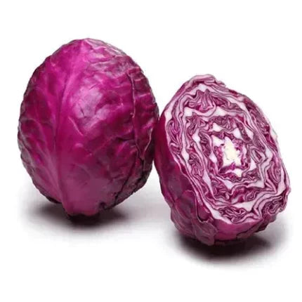 Red Cabbage seeds — Nutrient-dense, Organic seed pack | Native Indian Organics