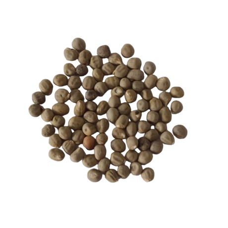 Red Lady Finger seeds - Nutrient Rich, Healthy Seeds | Native Indian Organics