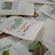 Return Gift Seeds Pack Basic 50 packets — Fast-growing, Heirloom seed pack | Native Indian Organics