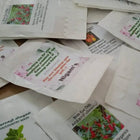 Return Gift Seeds Pack Basic 50 packets — Fast-growing, Heirloom seed pack | Native Indian Organics
