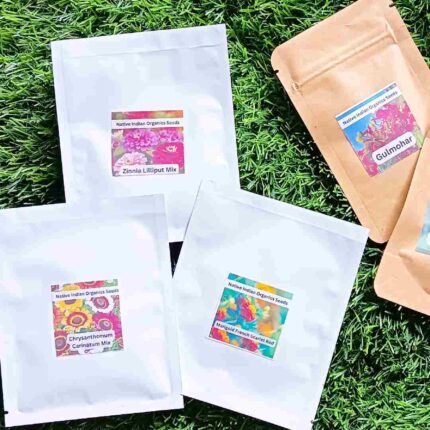 Return Gift seeds Premium Pack 50 Packets — Nutrient-dense, Organic seed pack | Native Indian Organics