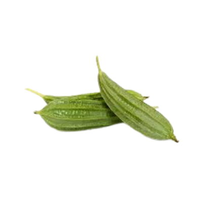 Ridge Gourd Short seeds — Native, Aromatic seed pack | Native Indian Organics