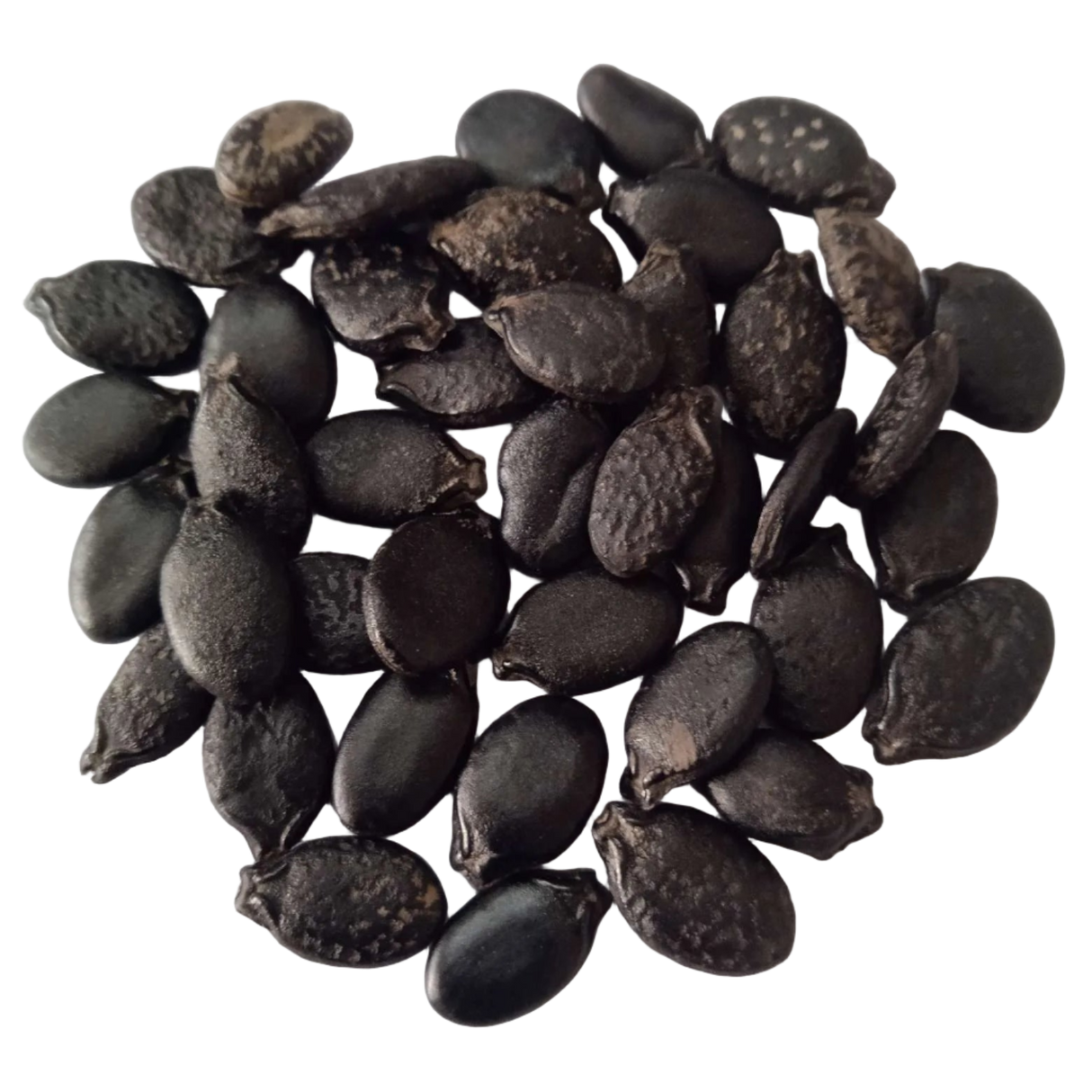 Long Ridge gourd seeds - Nutrient-dense, Organic seeds | Native Indian Organics