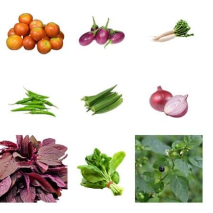 Vegetable seeds Combo Pack of 9 pack of 9 — Fast-growing, Heirloom seed pack | Native Indian Organics