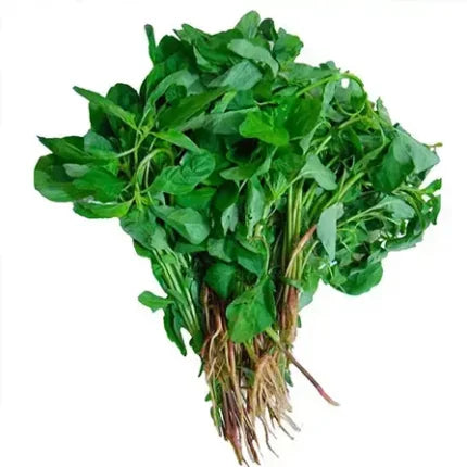 Tropical Amaranth Seeds — Tender, Heirloom seed pack | Native Indian Organics