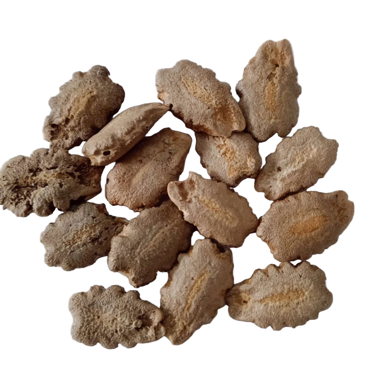 Snake gourd seeds - Organic , Non-GMO seeds | Native Indian Organics