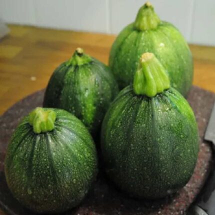 Squash Round Green seeds — High germination, Tender seed pack | Native Indian Organics