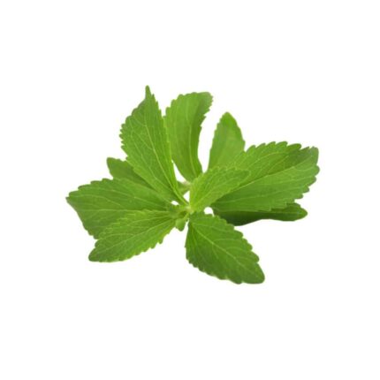 Stevia seeds Herbal plant — Tender, Nutrient-dense seed pack | Native Indian Organics