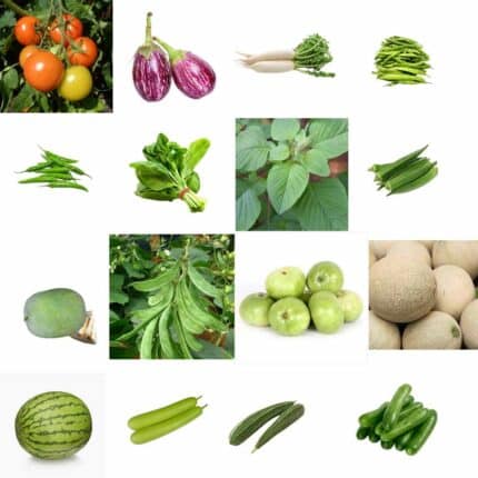 Summer Vegetable Seeds Pack of 16 pack of 16 — Food-safe, Clear glass glass bottle with cork | Native Indian Organics