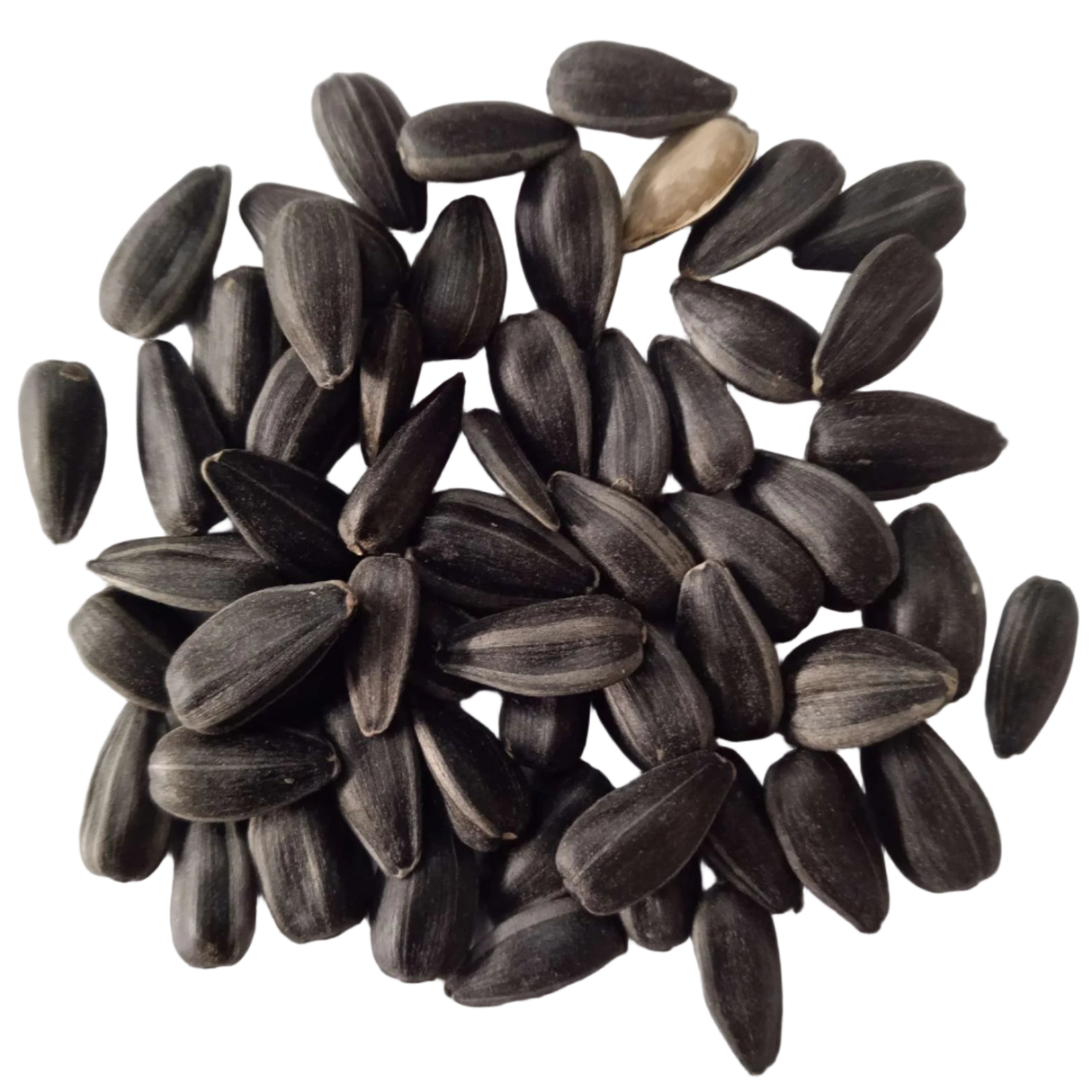 Sun Flower Seeds - High Germination and Quality Seeds | Native Indian Organics