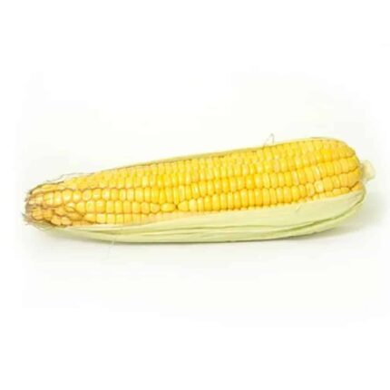 Sweet Corn Seeds — High germination, Sweet seed pack | Native Indian Organics