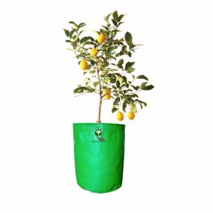 18×24 Inch Plant Grow bag for Trees — Reliable, Durable | Native Indian Organics