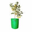 18×24 Inch Plant Grow bag for Trees — Reliable, Durable | Native Indian Organics