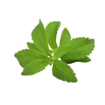 Krishna Tulsi Seeds Holy Basil Seeds — Premium quality, Durable | Native Indian Organics