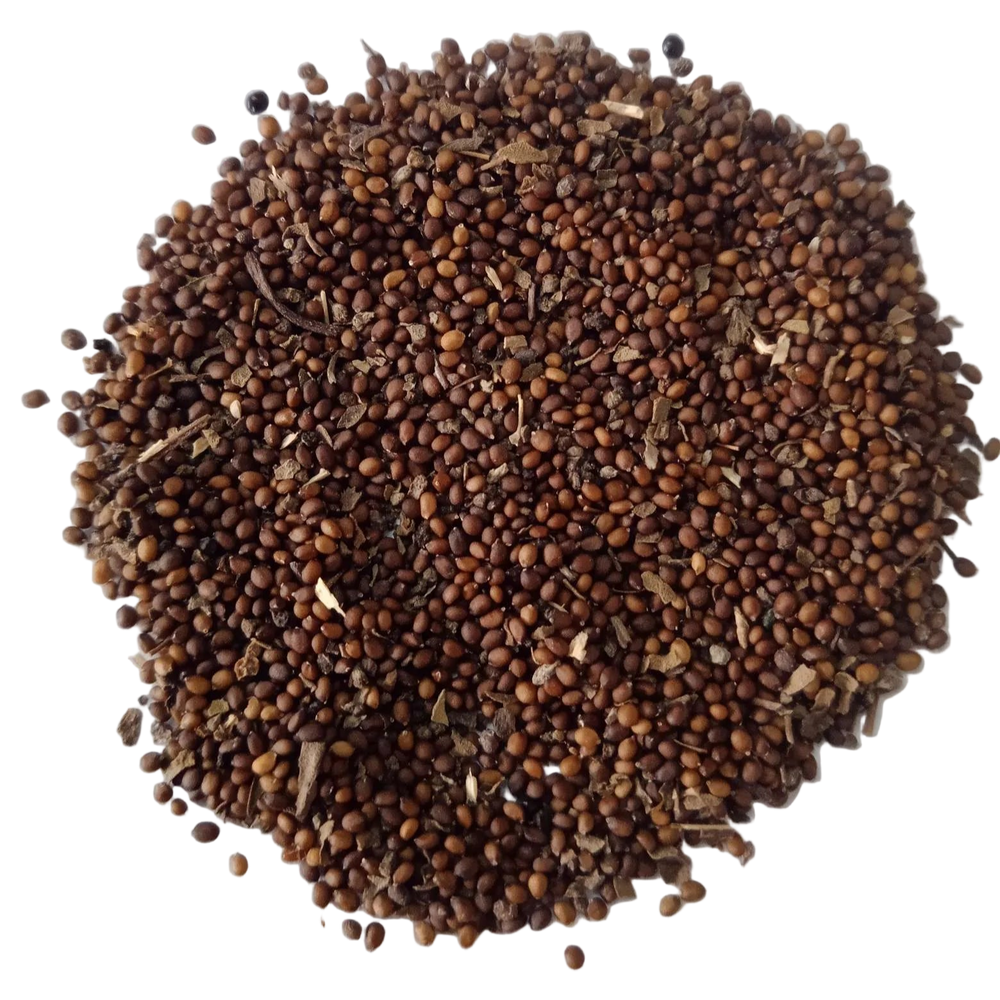 Stevia Seeds Herbal Plant (Thulasi Seeds ) — Organic , Non-GMO Herbal Seeds | Native Indian Organics