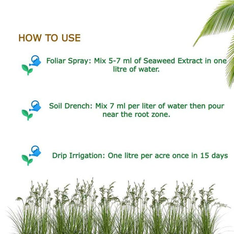 Sea Special Seaweed Extract 500Ml — Durable, Premium quality | Native Indian Organics