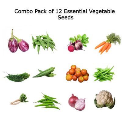 Combo pack of Essential vegetabal seeds pack of 12 pack of 12 — Crisp, Organic seed pack | Native Indian Organics