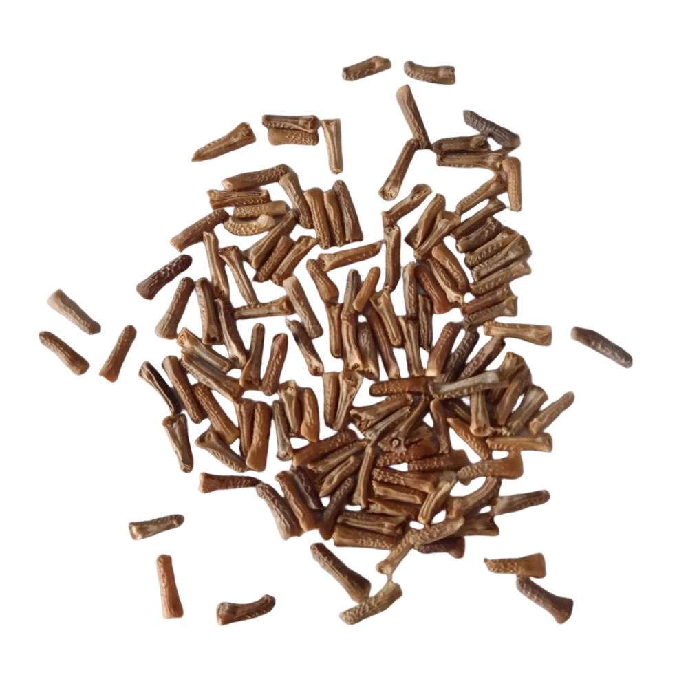 Verbena Mixed Seeds - Highly Germinated , Fresh and Vibrant Seeds | Native Indian Organics