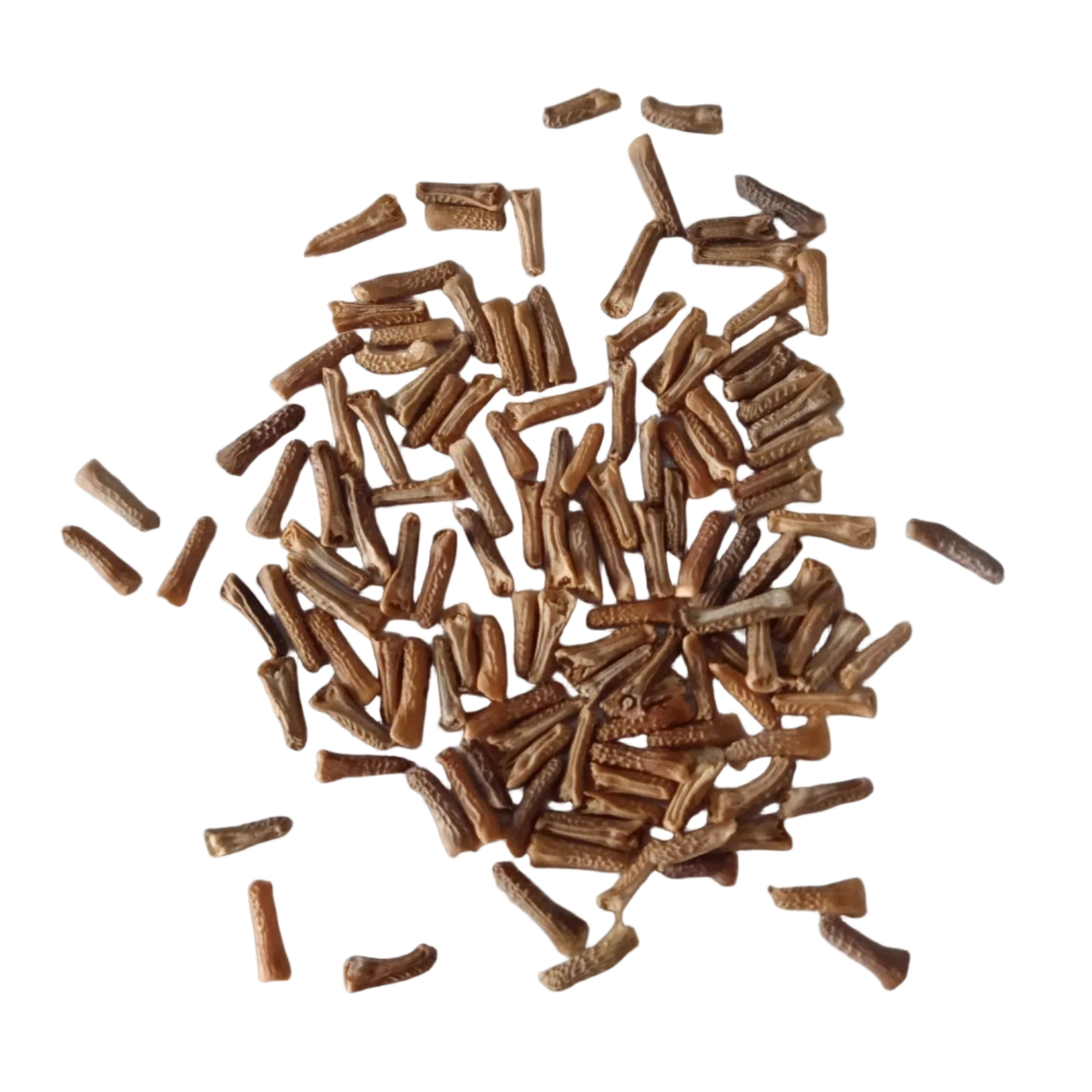 Verbena Mixed Seeds - Highly Germinated , Fresh and Vibrant Seeds | Native Indian Organics