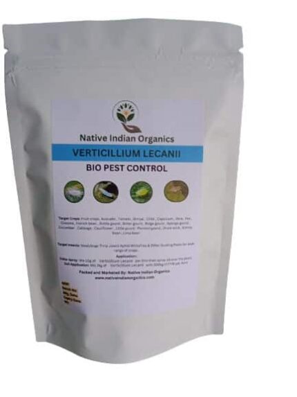 Verticillium lecanii Bio Insecticide controls Mealybugs 1KG — Reliable, Durable | Native Indian Organics
