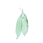 White Bitter Gourd — Aromatic, Fast-growing seed pack | Native Indian Organics
