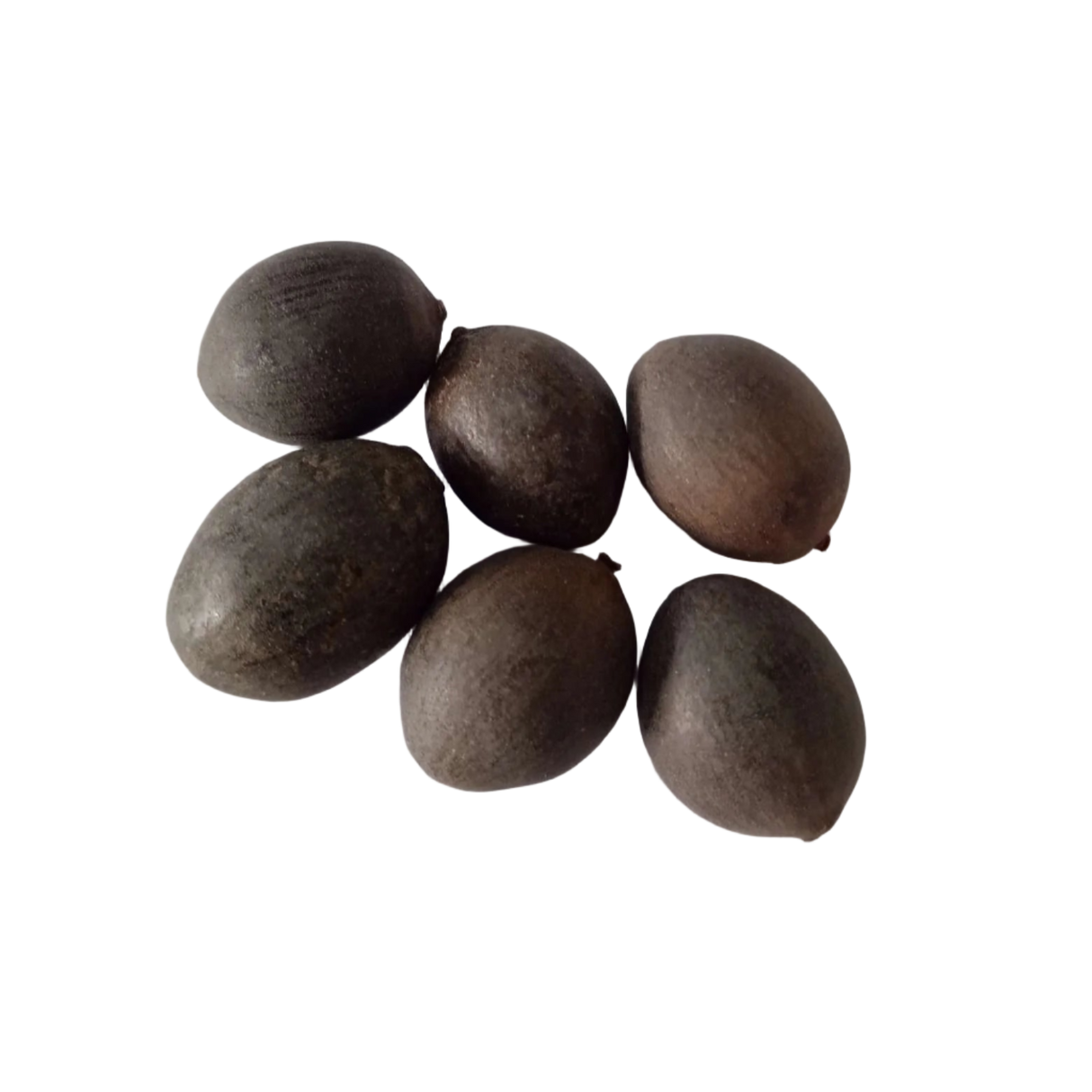 White Lotus seeds - Organic , High Germination Flower Seeds | Native Indian Organics