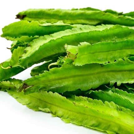 Winged Bean Seeds — High germination, Tender seed pack | Native Indian Organics