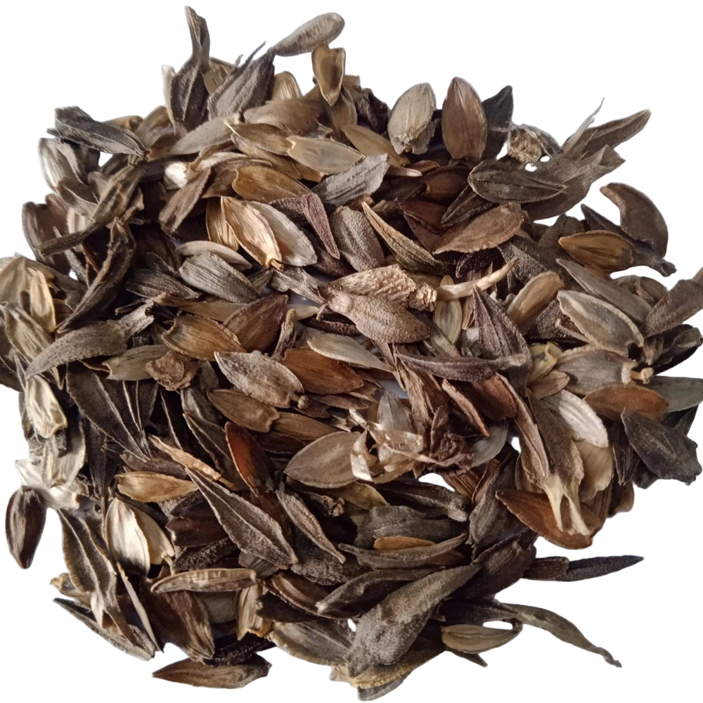 Zinnia Liliput Mixed Flower seeds - High Quality Fresh and Organic Seeds | Native Indian Organics