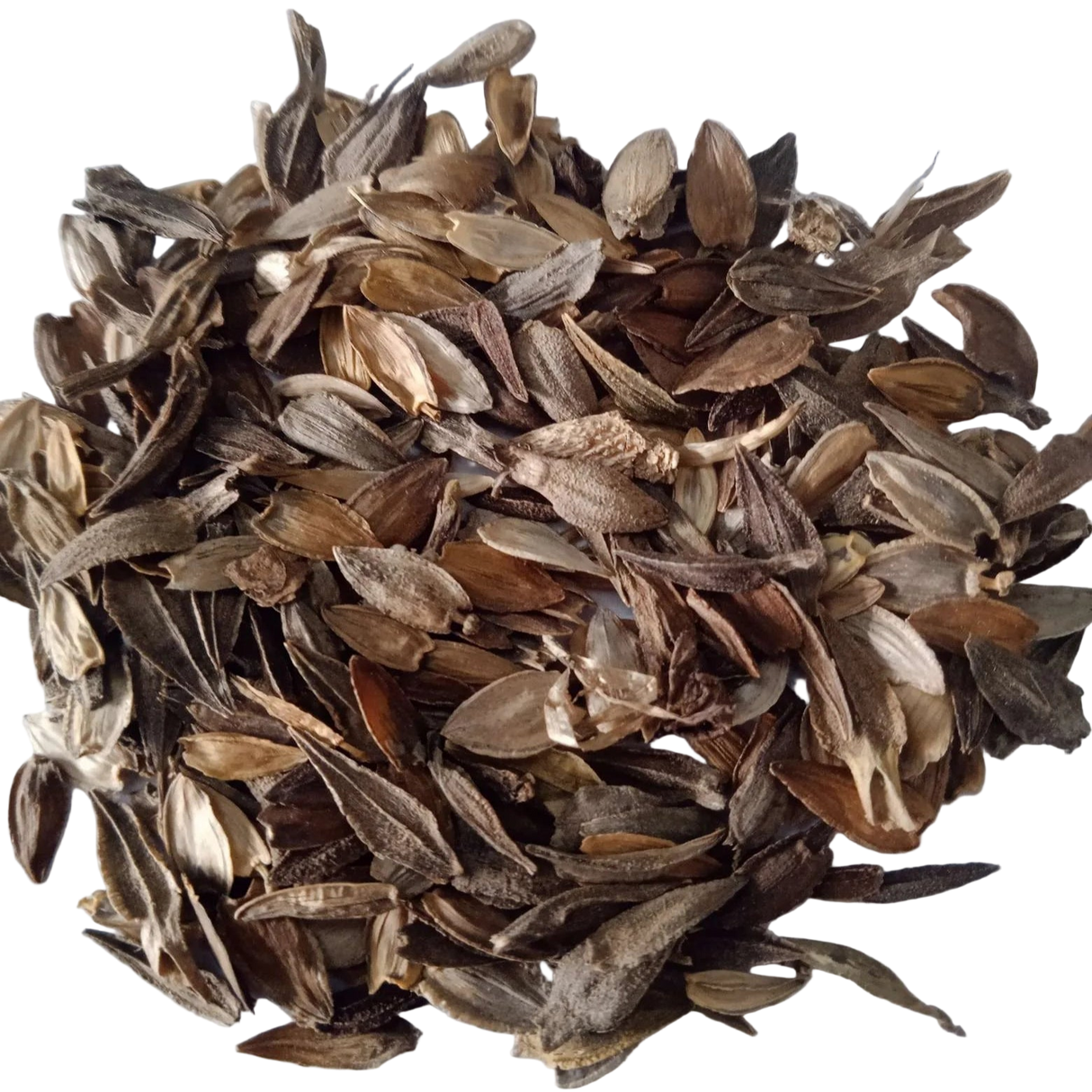 Zinnia Liliput Mixed Flower seeds - High Quality Fresh and Organic Seeds | Native Indian Organics